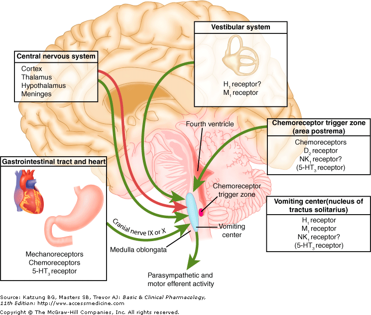 Nausea Vomiting Pain In Right Side