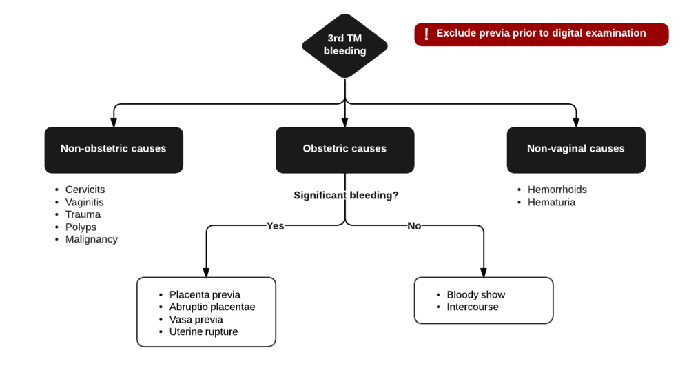 Differential Diagnosis of 3rd Trimester Bleeding