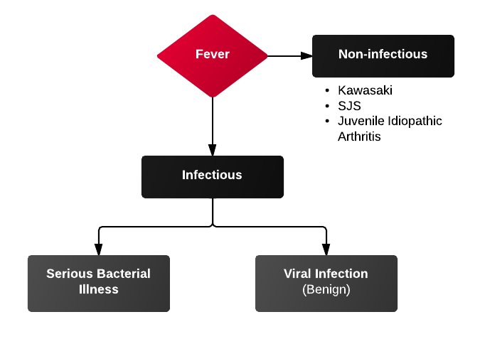 Causes Of Fever