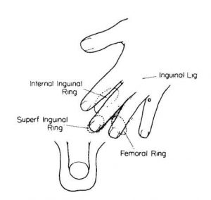 Physical Examination Techniques