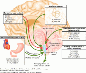 Neurologic pathways involved in pathogenesis of nausea and vomiting