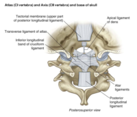 Skull base and C1/C2 - Differential Diagnosis of