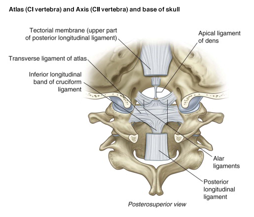 Differential Diagnosis Of Cervical Spine Injuries